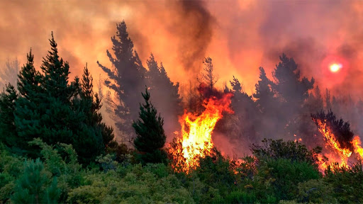 Incendios forestales en Chubut: hay doce personas desaparecidas
