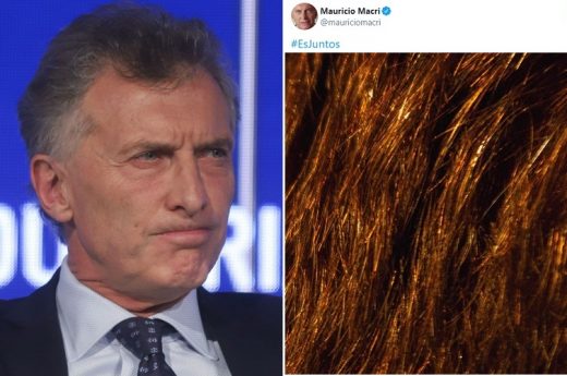 Bizarro: La enigmática imagen de una cabellera que Mauricio Macri compartió en Twitter