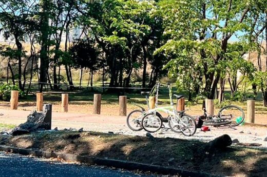 Falleció una de las cinco personas atropelladas en los Bosques de Palermo: cuatro detenidos