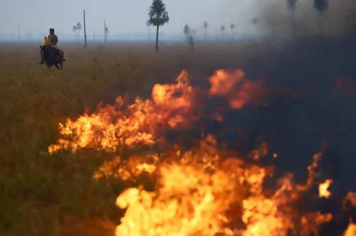 Ya hay más de 70 denuncias por incendios intencionales en Corrientes