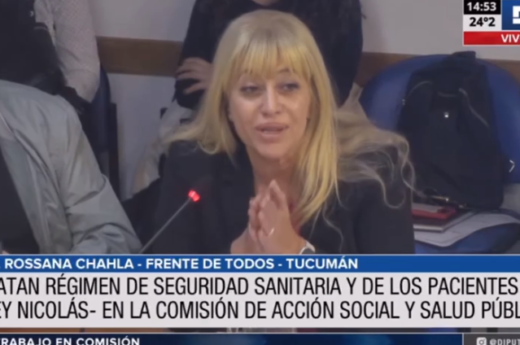 En Comisión de Salud, avanzó el proyecto sobre seguridad del paciente y la iniciativa que regula la actividad del acompañante terapéutico