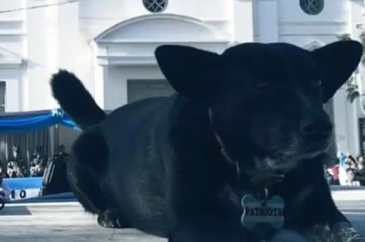 “Patriota”, el perro que entonó el himno nacional junto a los alumnos de San Luis