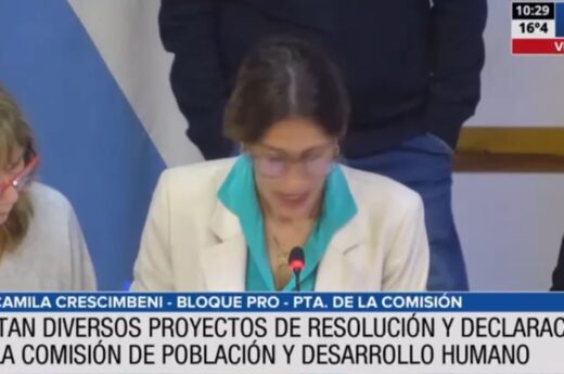 La Comisión de Población y Desarrollo Humano aprobó una batería de proyectos