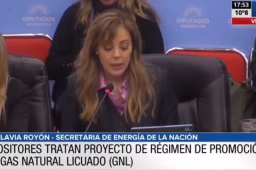Royon sostuvo que el proyecto de gas natural licuado “Cambiaría la realidad productiva y económica de Argentina”