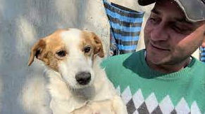 Murió el famoso “perrito malvado” de TikTok y hay tristeza en las redes sociales