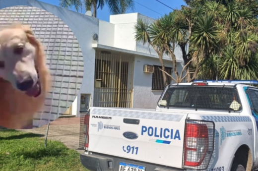 La Plata: Denunciaron a una mujer que preguntó en la carnicería si se le podían “faenar” a su perro
