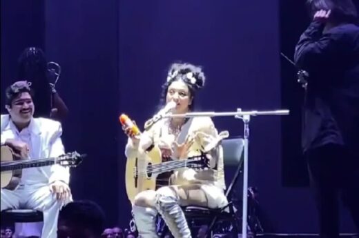 Mon Laferte paró su show en Buenos Aires por la invasión de mosquitos