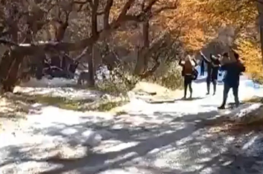 El Chaltén: una familia se cruzó con un puma y temieron por la reacción del animal